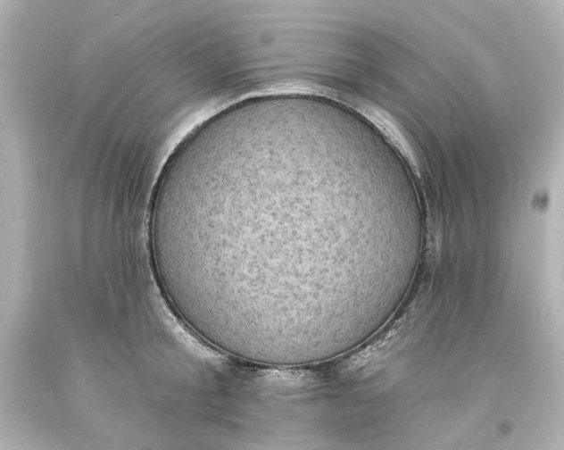 X0000094070805200711021508