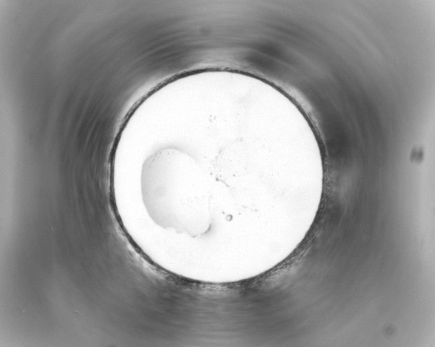 X0000094070807200711021508