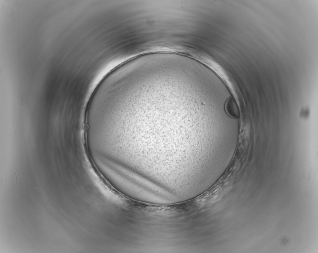X0000094070811200711021508