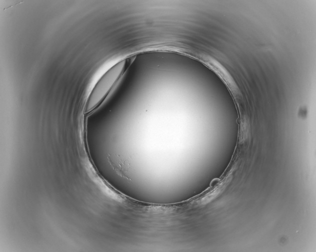 X0000094070812200711021508