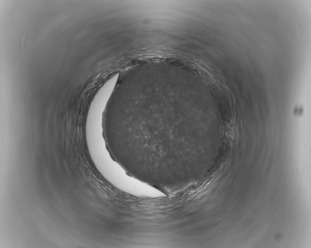X0000094070818200711021507