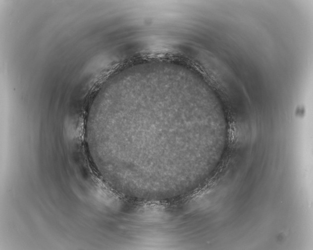 X0000094070820200711021507
