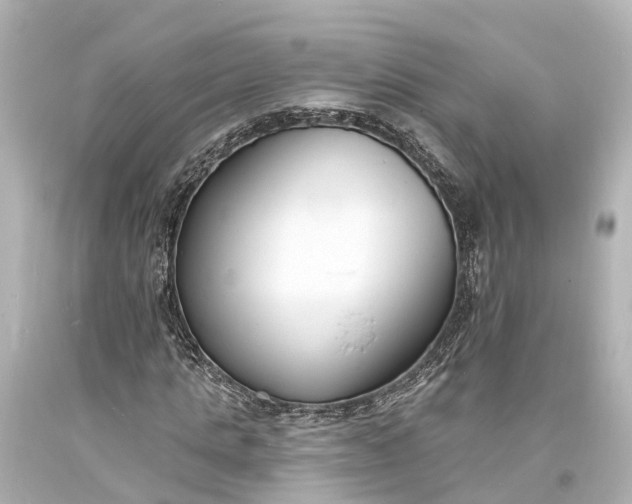 X0000094070821200711021507