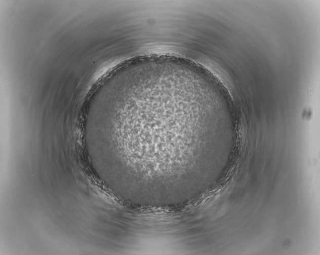 X0000094070823200711021507