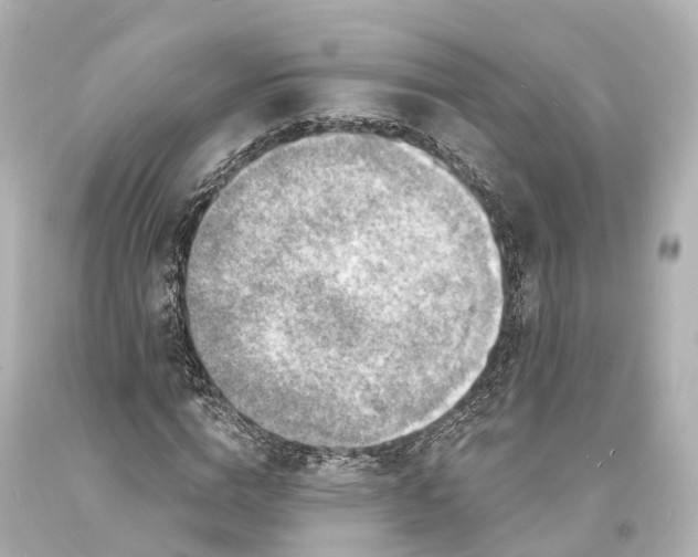 X0000094070824200711021507