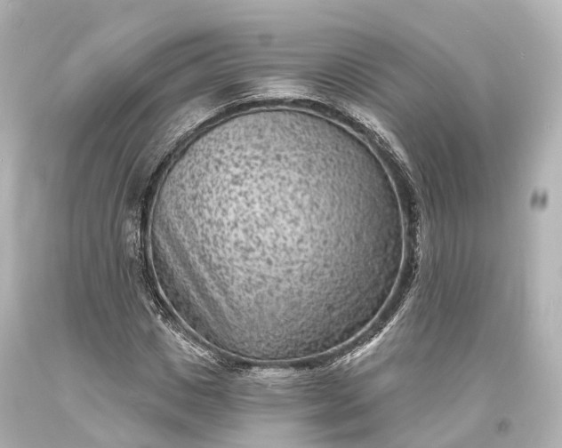 X0000094070825200711021507