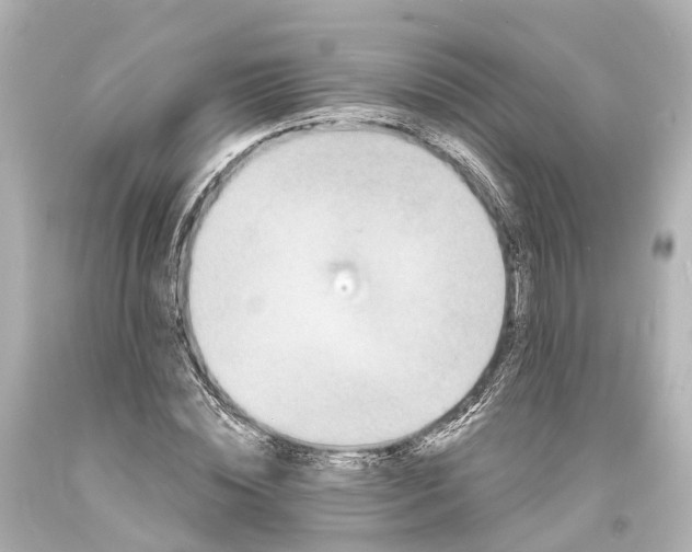 X0000094070828200711021507