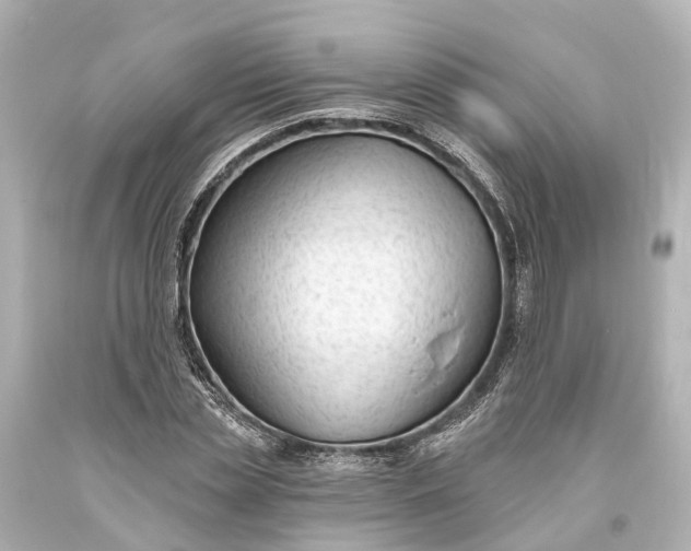 X0000094070829200711021507