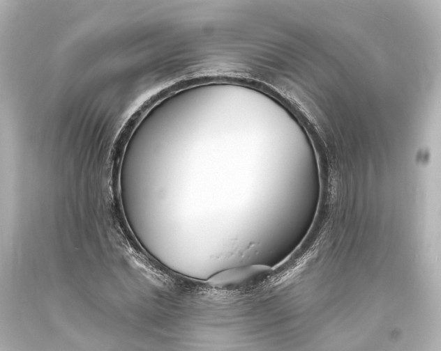 X0000094070830200711021507