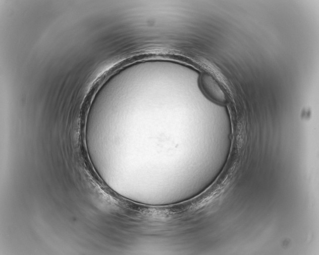 X0000094070831200711021507