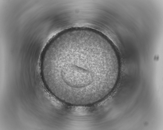 X0000094070832200711021507