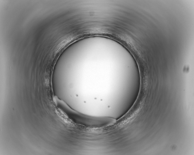 X0000094070833200711021507