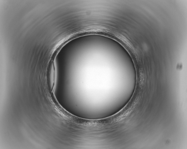 X0000094070834200711021507