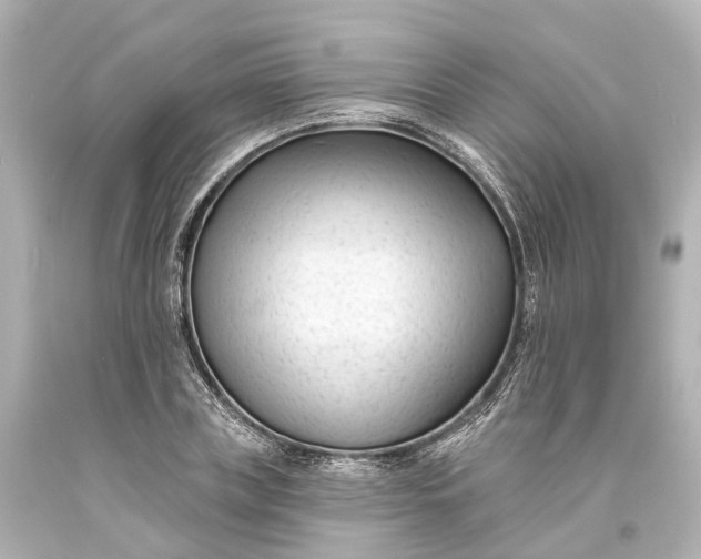 X0000094070835200711021507
