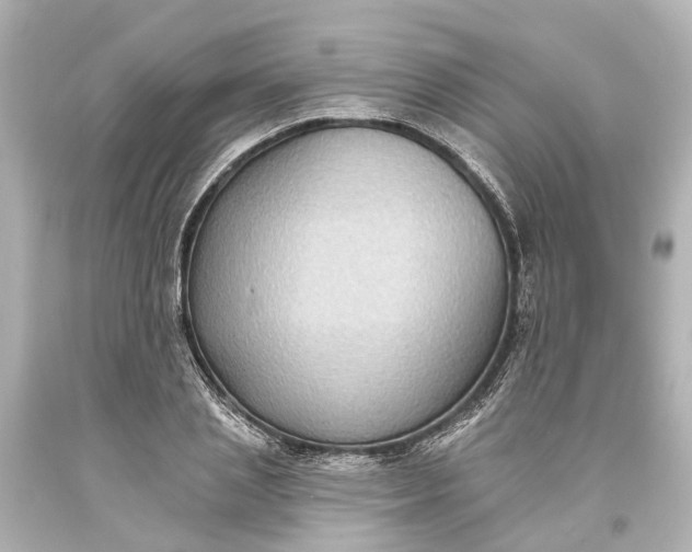 X0000094070837200711021507