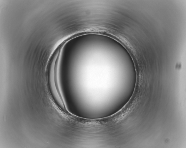 X0000094070838200711021507