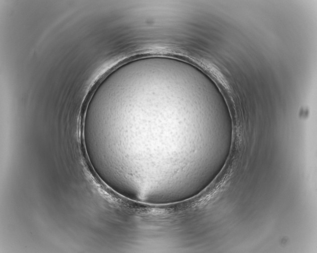 X0000094070839200711021507