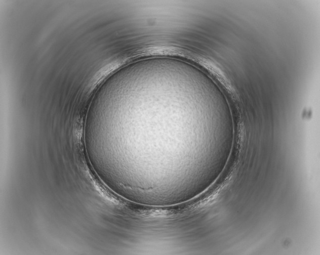 X0000094070841200711021508