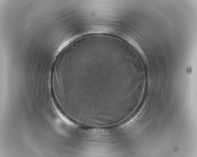 X0000094070842200711021508