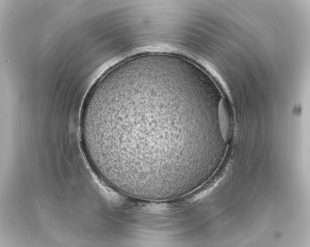 X0000094070845200711021508