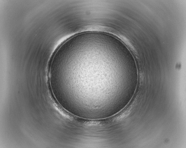 X0000094070846200711021508