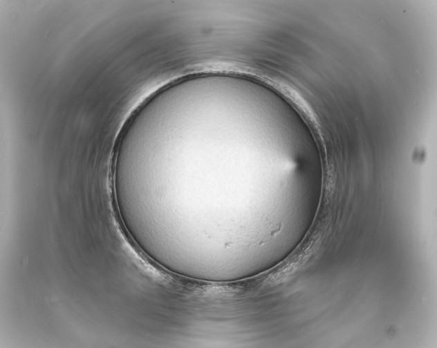 X0000094070847200711021508