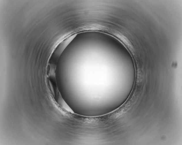 X0000094070850200711021508