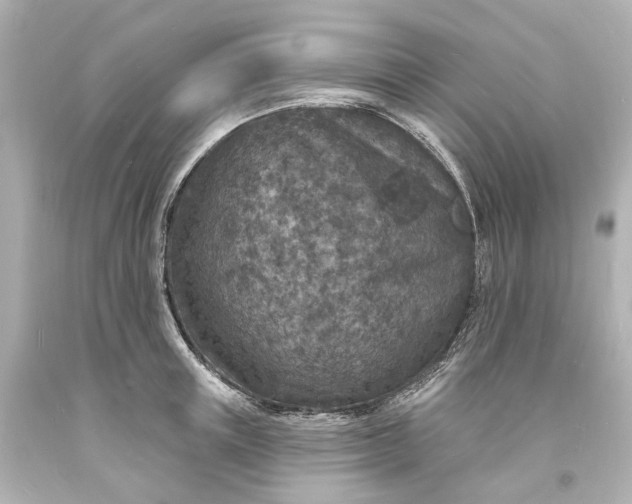 X0000094070851200711021508
