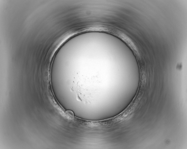 X0000094070852200711021508