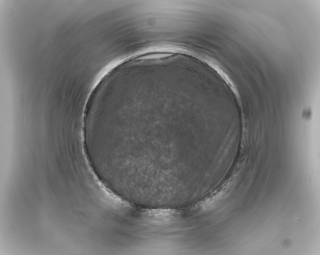 X0000094070853200711021508