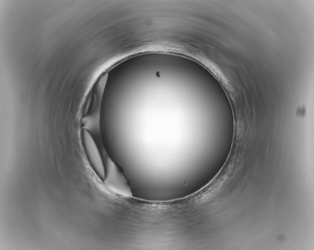 X0000094070854200711021508