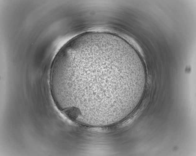 X0000094070855200711021508