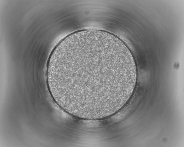 X0000094070856200711021508