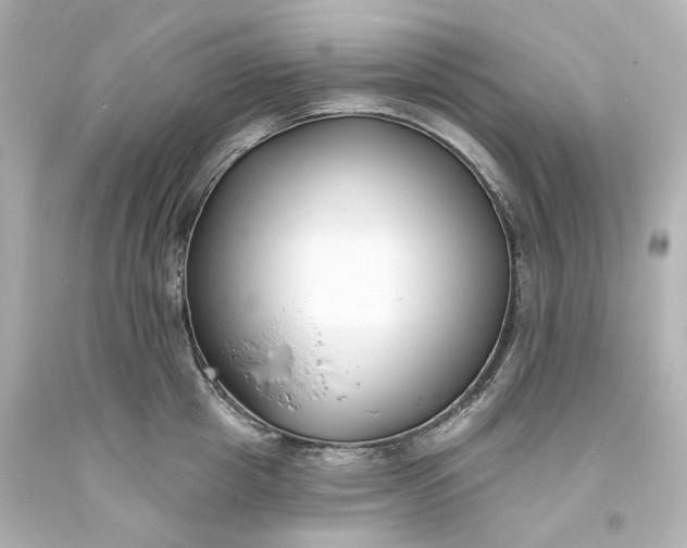X0000094070857200711021508