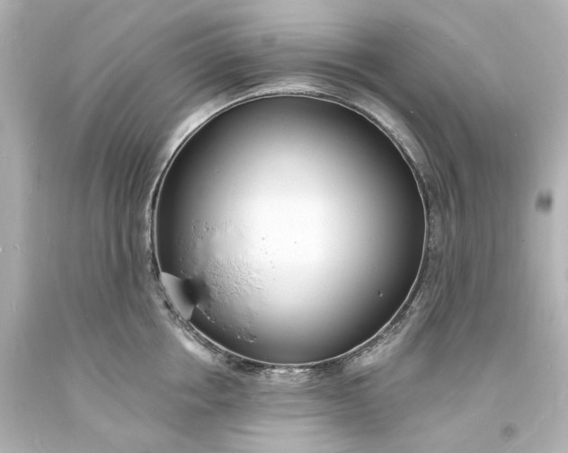 X0000094070858200711021508