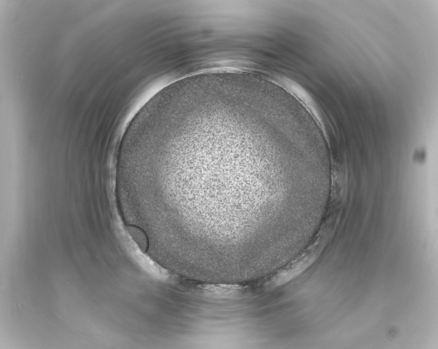 X0000094070859200711021508
