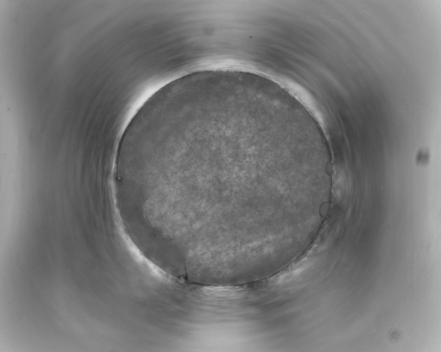 X0000094070863200711021508