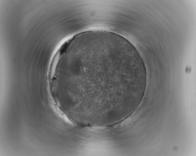 X0000094070864200711021508