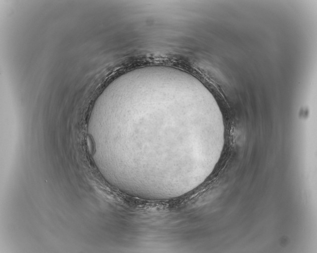 X0000094070865200711021507
