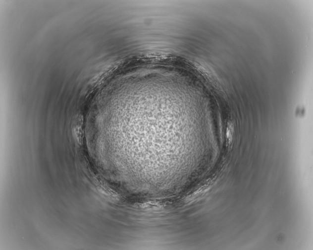 X0000094070867200711021507