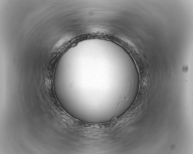 X0000094070869200711021507