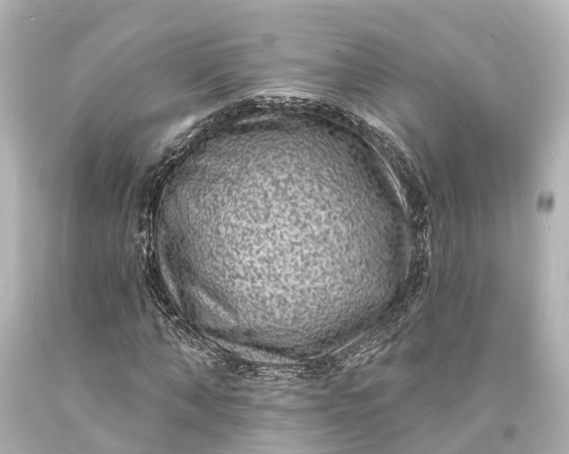 X0000094070870200711021507
