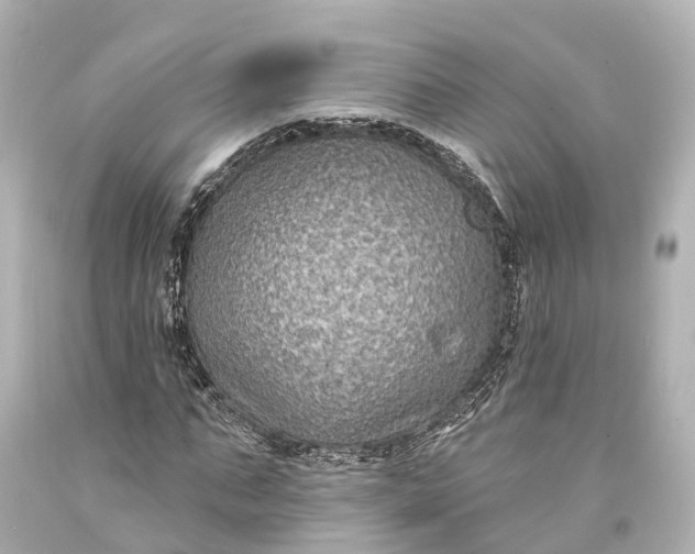 X0000094070871200711021507