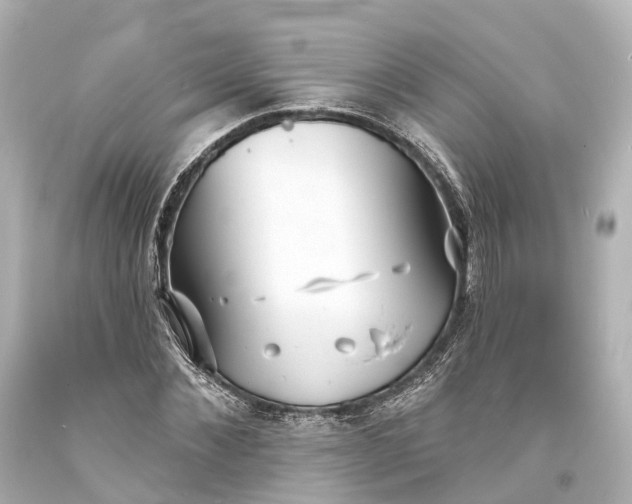 X0000094070876200711021507