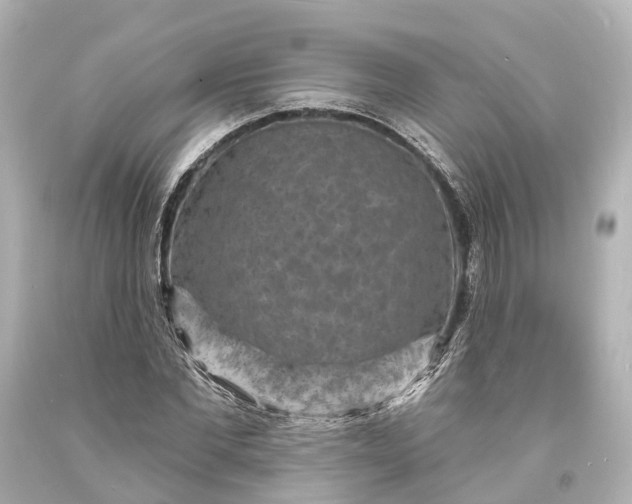 X0000094070877200711021507