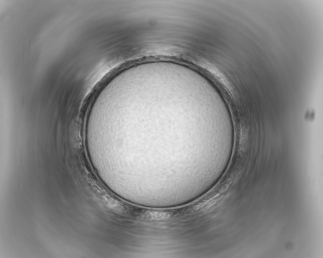 X0000094070878200711021507
