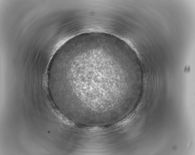 X0000094070879200711021507