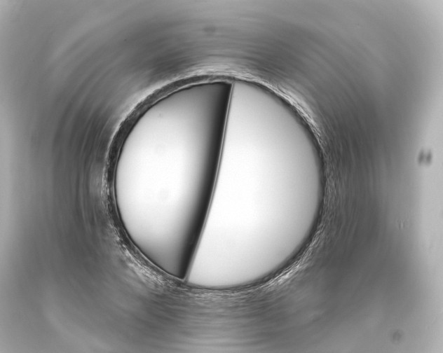 X0000094070880200711021507
