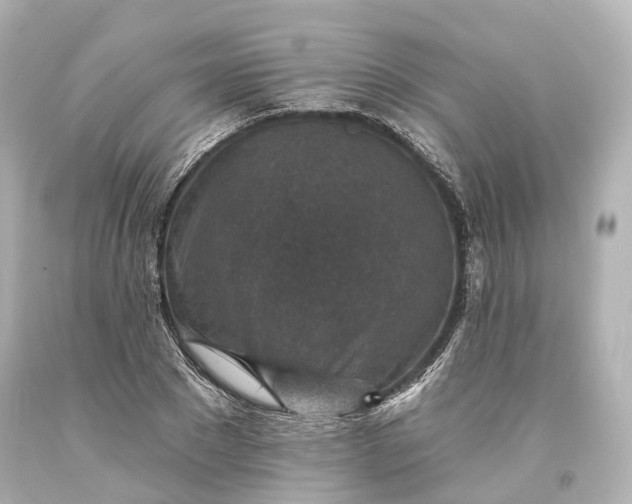 X0000094070881200711021507