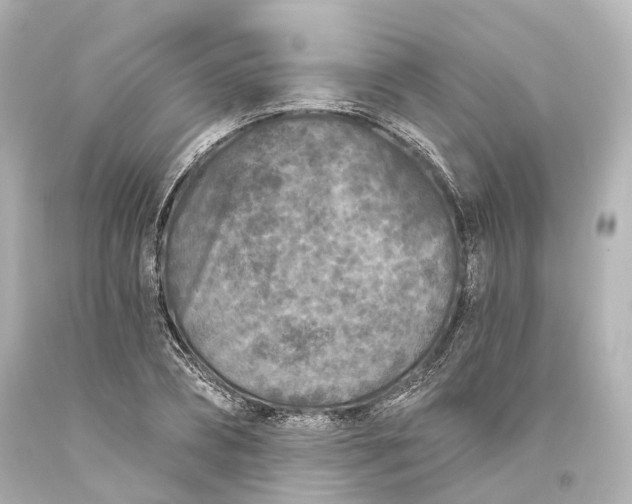 X0000094070882200711021507
